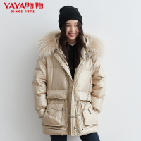 鸭鸭(yaya)新品女士中长款连帽女时尚保暖羽绒服外套