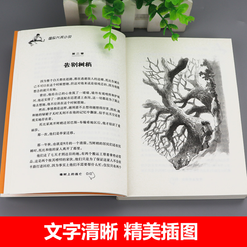 橡树上的逃亡 [正版]橡树上的逃亡书新蕾出版社小学生二年级 三年级四年级五年级课外 书国际大奖 小说历险记小说童文学 成高清大图