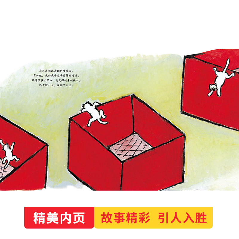 绿眼睛(精装) [正版]绿眼睛精装硬壳图画书凯迪克银奖绘本跟优美的文字描述随小猫感悟季节的变化适合0-6岁亲子阅读蒲蒲兰高清大图