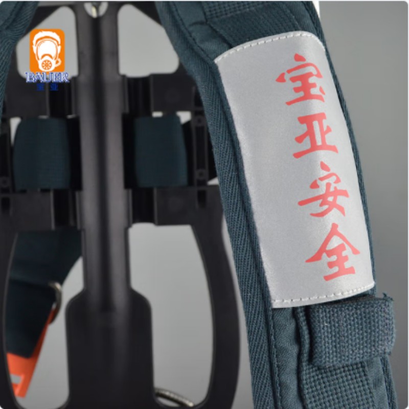 宝亚安全上海宝亚背架总成 黑色高清大图