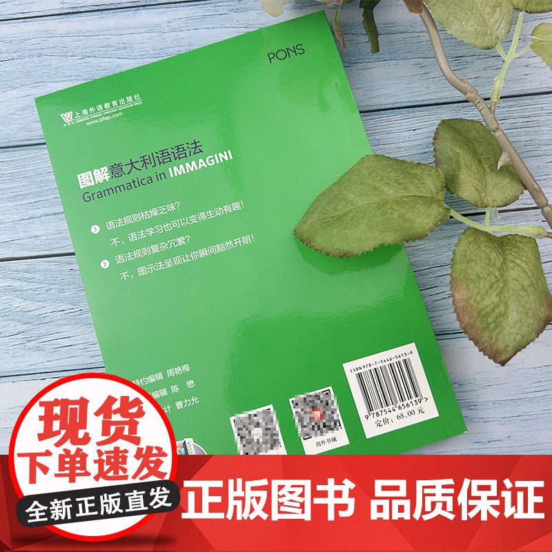 图解意大利语语法 托马迪编著外教社图解外语语法 意大利语语法自学学习书籍意大利语语法天天学上海外语教育出版社 97875高清大图