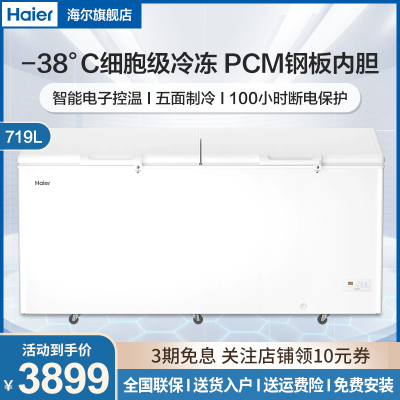 海尔(Haier) 冷柜 BC/BD-719 GHEP