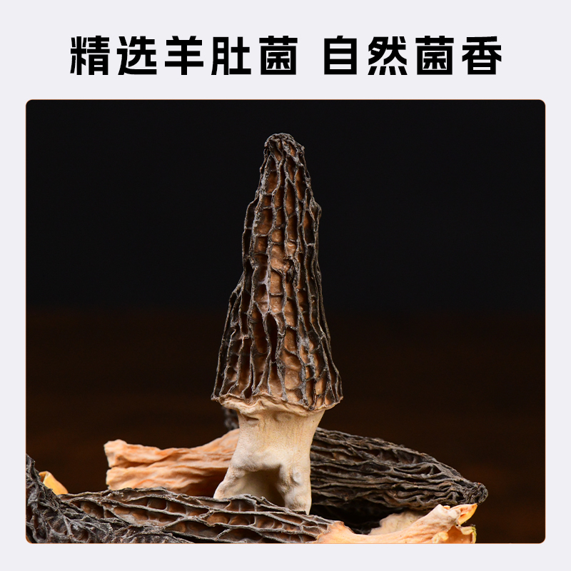 胡成羊肚菌 88g/瓶