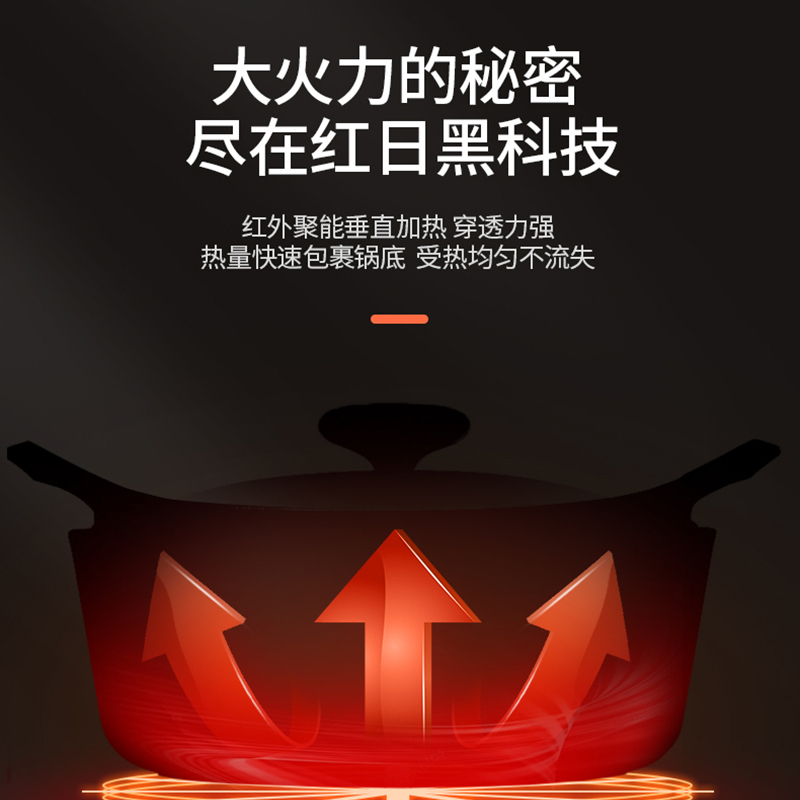 红日(RedSun)ED009B燃气灶 家用红外线灶单灶 固定定时防干 语音提醒 一级能效省气 (天然气)