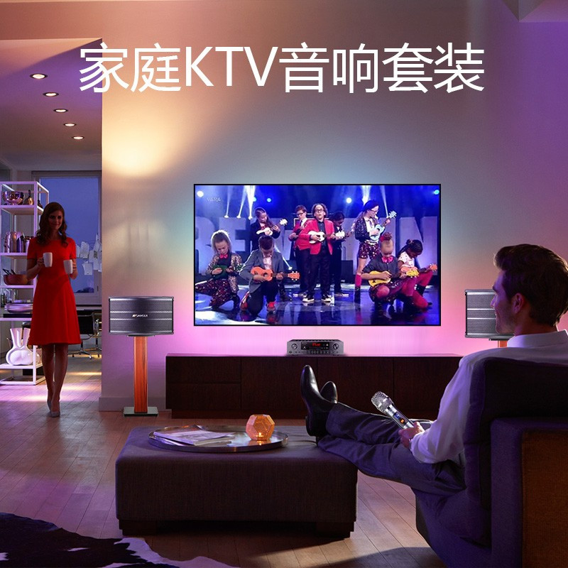 山水音响SP9-06家庭KTV音响影院点歌机套装[6.5英寸音箱+功放+话筒]