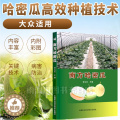 【醉染正版】南方哈密瓜水果高效种植技术教程哈密瓜类水果种植技巧选种子基础知识哈密瓜病虫害诊断与疾病防治技术书技