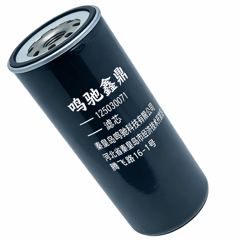 鸣驰鑫鼎 滤芯 125030071 个高清大图