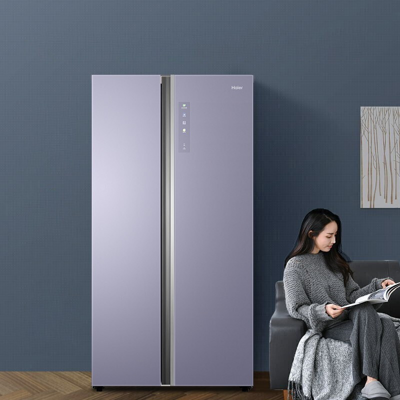 海尔(Haier)对开门冰箱 600升 全空间保鲜 一级节能变频风冷 分层多路送风 BCD-600WGHSS17NZU1