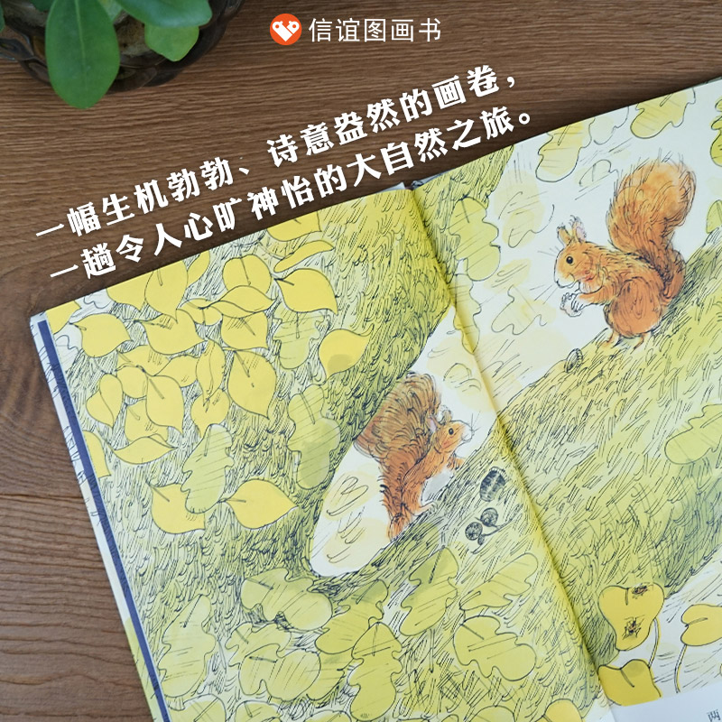 单本全册 [正版]森林硬壳精装绘本世界精选图画书系列信谊让孩子亲近自然欣赏自然尊重自然的图画书童书3岁4岁5岁6岁幼儿园高清大图