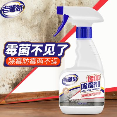墙体除霉剂去霉斑霉菌清洁发霉啫喱清除霉点神器墙面去霉防霉喷雾 墙体除霉剂500ml*1瓶
