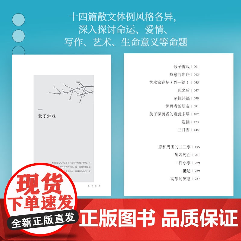 骰子游戏(史铁生夫人陈希米《让“死”活下去》之后新作) 陈希米 湖南文艺出版社 正版书籍高清大图