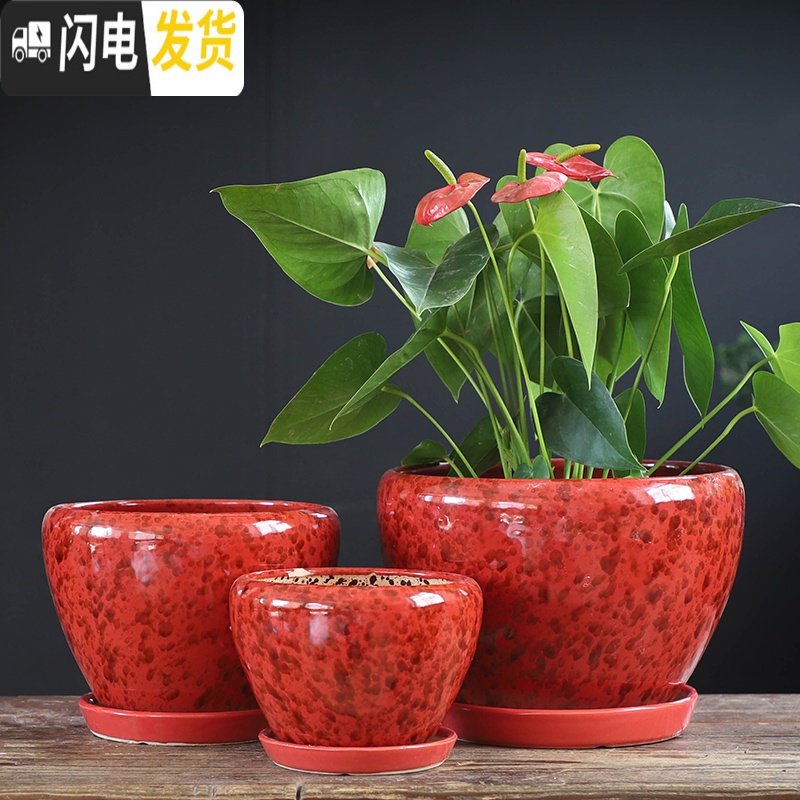 三维工匠北欧简约花盆陶瓷大号带托盘蝴蝶兰创意兰花绿萝绿植多肉花盆 S1CZ-水晶紫-1单个 中等花盆容器高清大图