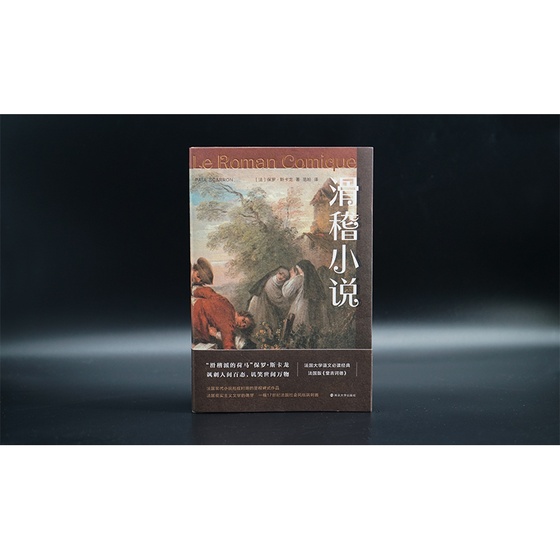 【M】滑稽小说-9787305256349