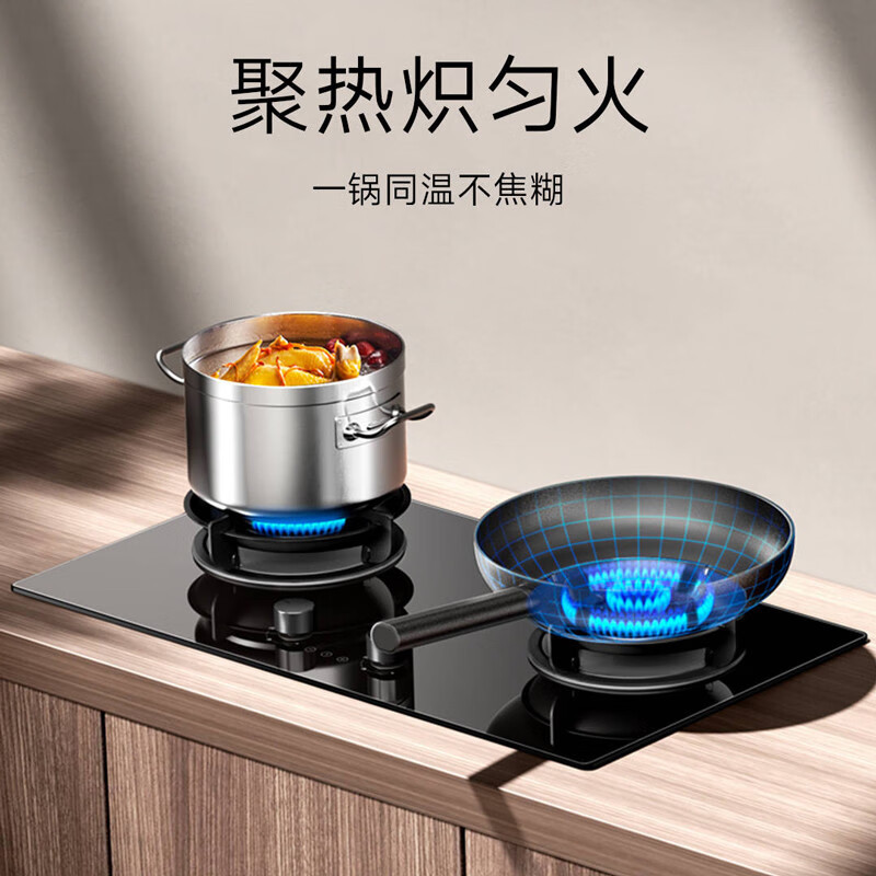 米家小米燃气灶S1煤气灶具双灶家用液化气4.8kW猛火 智能双边定时 底座可调节JZY-MJ04CY(液化气)