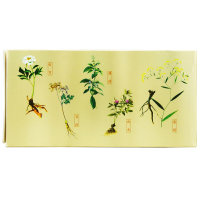 仲景 逍遥丸(浓缩丸) 360丸*3盒 月经不调胸胁胀痛头晕目眩食欲减退