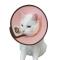 圈猫脖套脖圈头套头罩猫咪防舔防咬宠物保护耻辱圈狗项圈