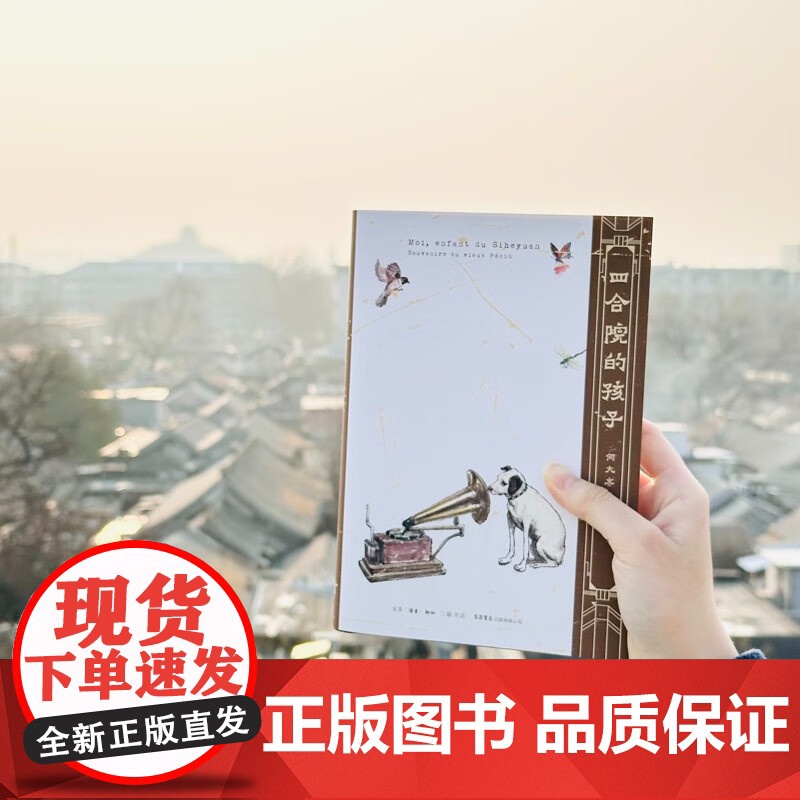 四合院的孩子 何大齐 著 散文高清大图