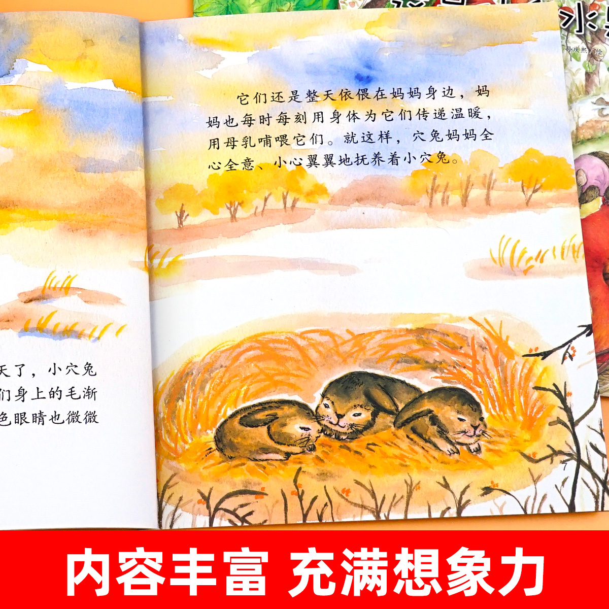 我的影子跟屁虫 [正版]我的影子跟屁虫 幼儿园绘本书阅读3-4-6岁 儿童科普读物科学启蒙睡前故事书 老师三到四五岁宝宝高清大图