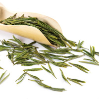 2025绿茶 极白安吉白茶特级100g正宗礼盒装 珍稀春茶明前茶叶