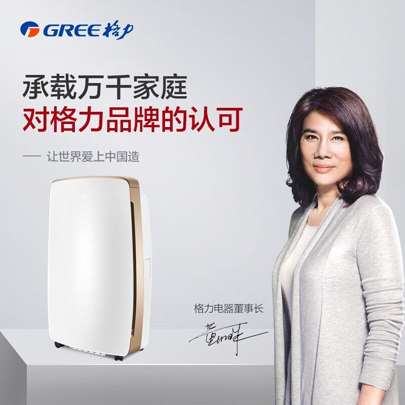 格力( GREE ) 除湿机 DH20EH/ 40EH急速除湿家用抽湿器除湿机31-40㎡微电脑式日除湿20/40升可选图片