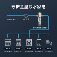 美国惠而浦(Whirlpool)前置过滤器40微米 反冲洗压力表监控 家用净水器 全屋自来水过滤 Q4000C31 银色