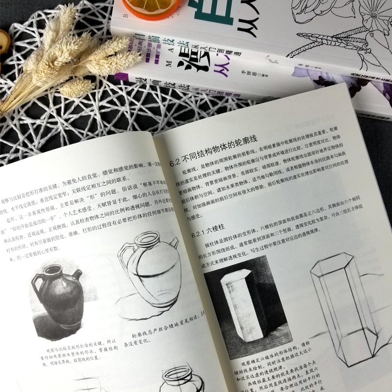 [正版]全四册 素描基础教程从入门到精通+速写人物实用教程+白描技法+漫画技法 画画套装成人素描书入门自学零基础素描教高清大图