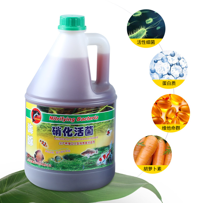 硝化菌大桶锦鲤鱼池净水细菌水族鱼缸水池水质稳定净水除氯高清大图