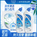 丁家宜洁厕液500g. 洁厕液500g*2瓶 海洋微风香