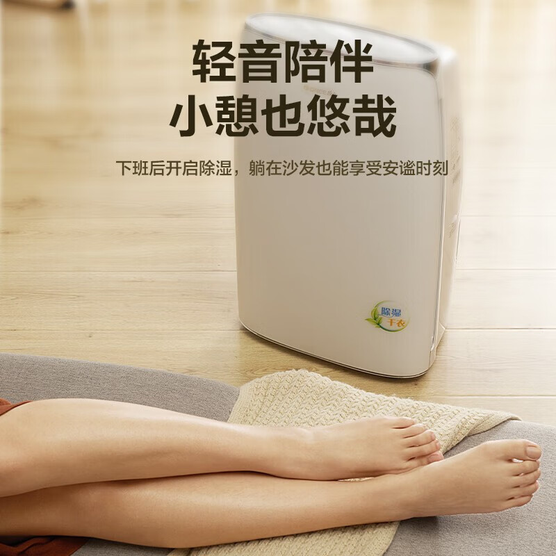 格力(GREE)抽湿机/除湿机 别墅家用卧室办公室低噪干衣除湿器20升/天 适用40平方米以内 智能数控(DH20EF)