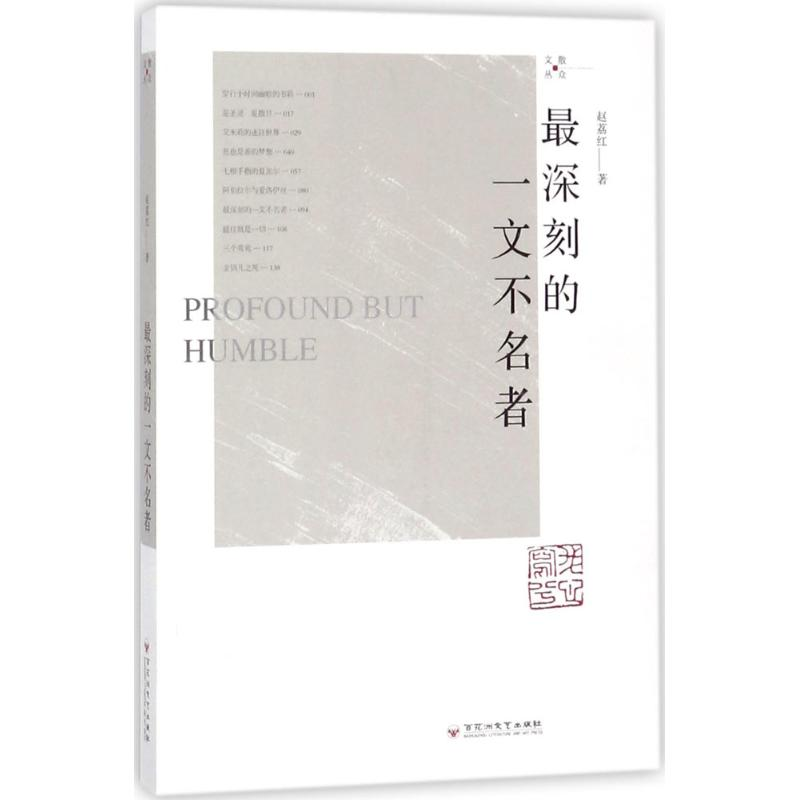 音像深刻的一文不名者赵荔红 著