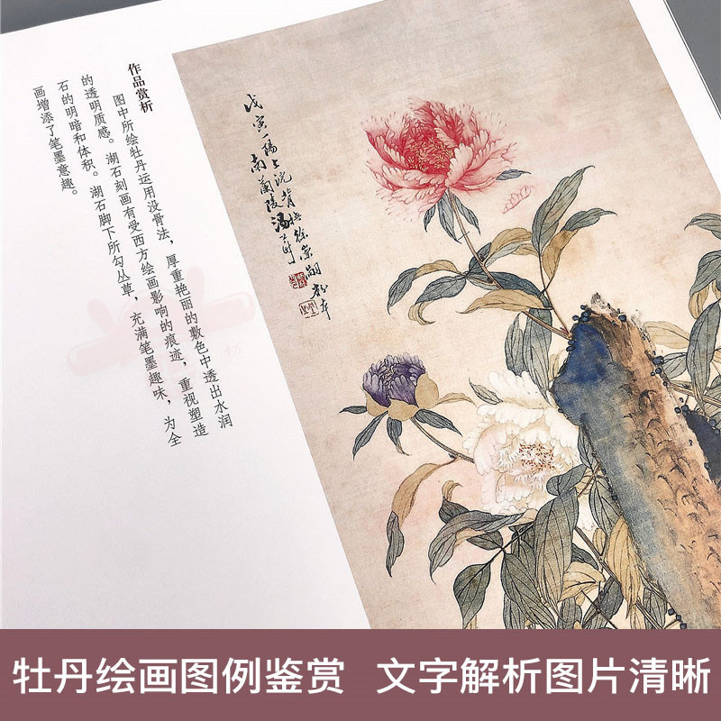 [正版图书]中国历代绘画百图 牡丹 苏百钧主编古代名家名作牡丹绘画作品集国画临摹欣赏明代清代牡丹图画册工笔国画书籍河南美