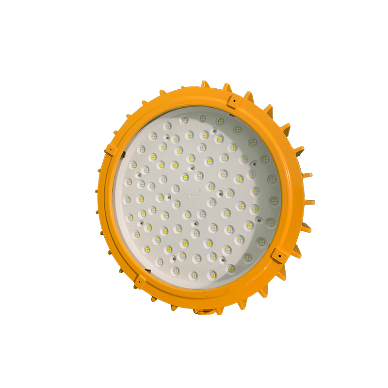 惠乐为 乐惠LB8204-150W IP65 Ex demb IIB T6 Gb/Ex tD A21 IP65 T80℃高清大图