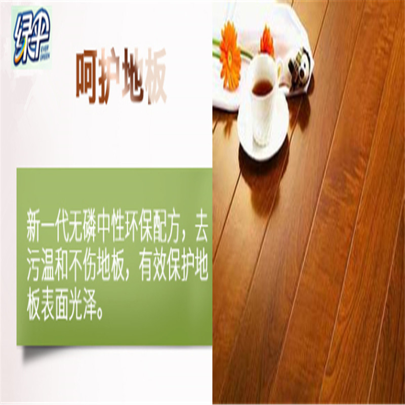 绿伞 LS-03 地板清洁液 800g