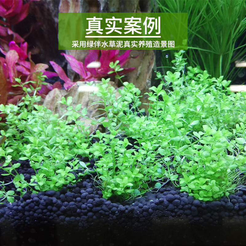绿伴水泥套餐鱼缸泥种植土缸底砂ada水族造景开缸五宝基肥高清大图