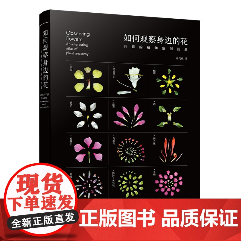 如何观察身边的花 有趣的植物解剖图鉴 植物微距摄影 花朵植物生物学习性 花朵文化背景趣味故事科普书 植物科普鉴别识高清大图