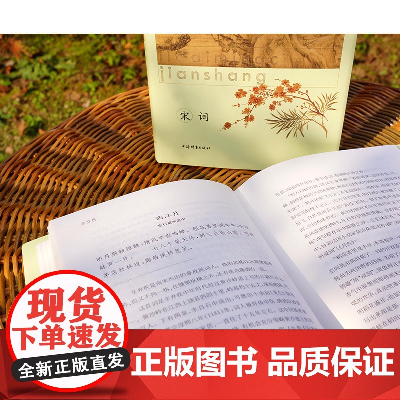 宋词(精装上下册) 历代名词鉴赏 古诗词 古典文学 词学 苏轼 柳永 辛弃疾 李清照 古诗词 上海辞书出版社高清大图