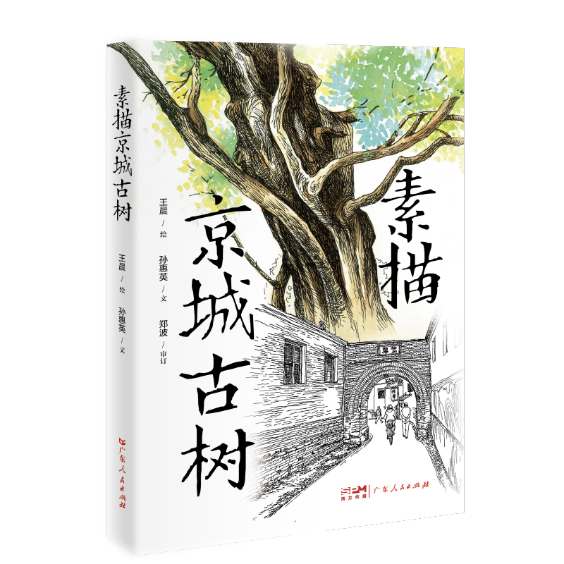 [正版]素描京城古树 王晨绘孙惠英文地域京味儿文化科普古树名木知识延伸北京园林生态广东人民出版社高清大图