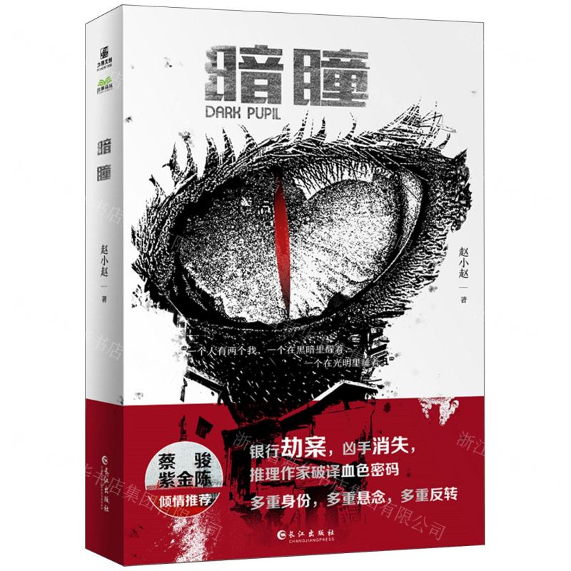 [N]暗瞳-9787549287420高清大图