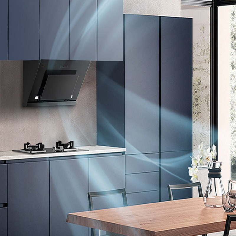 方太(fotile)油烟机侧吸(不带罩)cxw-258-jc03a