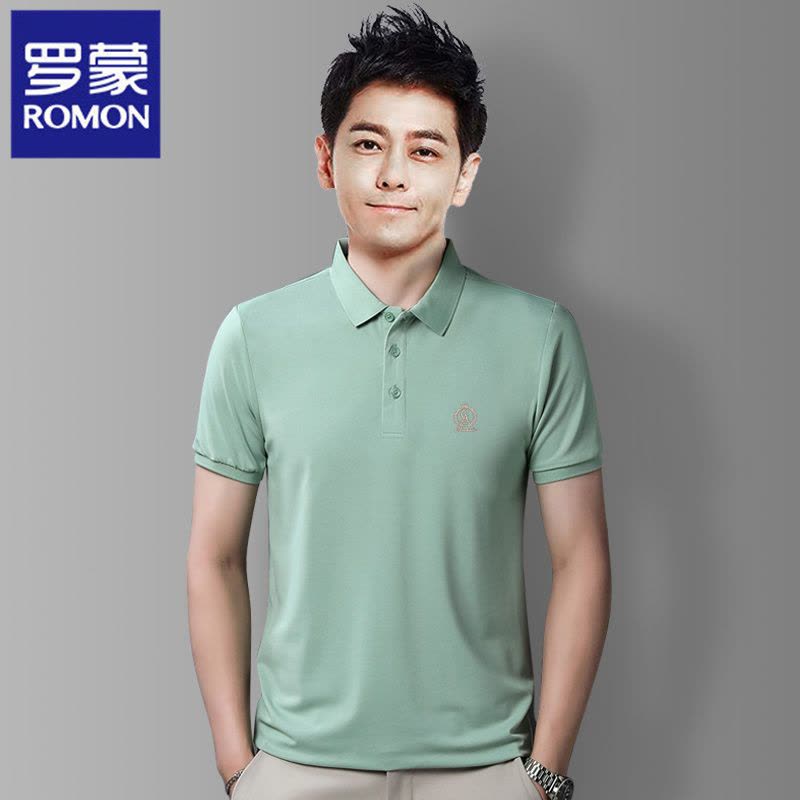 罗蒙夏季翻领短袖t恤男带领中青年商务休闲刺绣简约百搭POLO衫图片