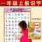 儿童识字挂图无声一年级无图早教宝宝认字挂图幼儿启蒙汉字挂图 新版下册7张/正面一年级反面二年级