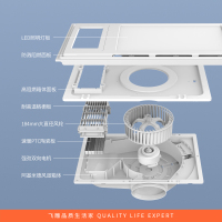飞雕(FEIDIAO)风暖浴霸卫生间暖风机多功能浴室取暖超薄琴键开关集吊普吊可用C11(浴霸需自行安装)