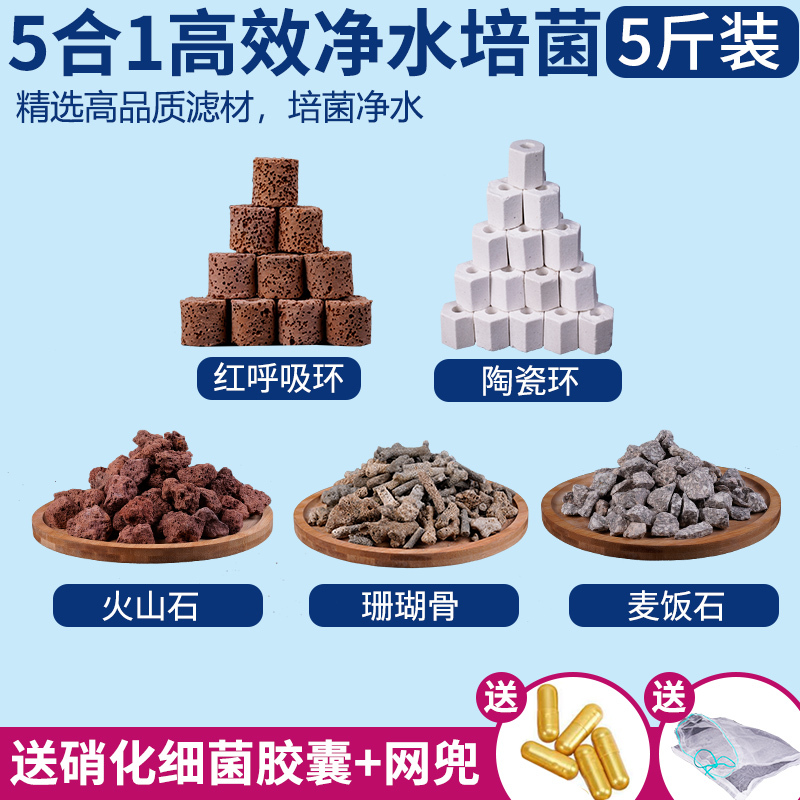 鱼缸过滤材料硝化细菌屋火山石陶瓷环培菌净水鱼池用滤材水质