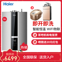海尔（haier））燃气热水器JSQ31-16M6S(12T)零冷水即开即洗防CO中毒wifi远程热水器