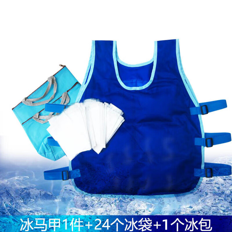 燕舞BD2EF1123202R2F降温服夏季降温马甲 (蓝冰马甲1件+1个冰包+24个冰袋 )(计价单位:件)蓝色高清大图