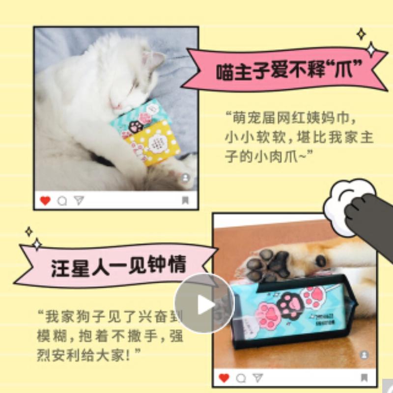 高洁丝澳洲进口纯棉爪心包240mm 6片