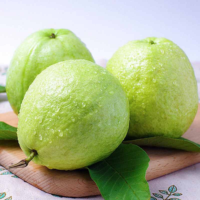 [中华特色馆]广州馆 台湾白心芭乐 中果 个大饱满