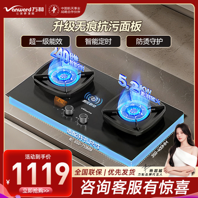 万和(Vanward)天然气灶具JZT-G9L56