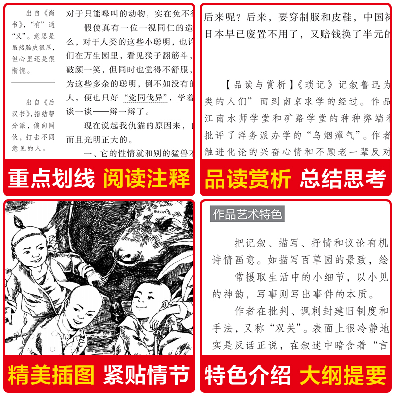 [正版]阅读朝花夕拾鲁迅 初中生语文课外书世界经典名著原著 9-10-12-15岁三四五六年级小学生课外阅读书籍