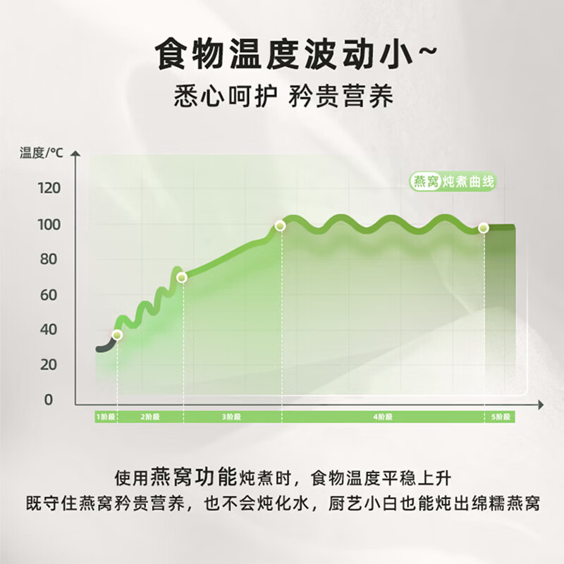 志高CHIGO养生壶玻璃电陶加热400W小巧轻音多功能炖煮烧水壶BG-YSB202高清大图